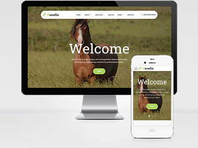 MB53 畜牧業(yè)馬匹飼養(yǎng)